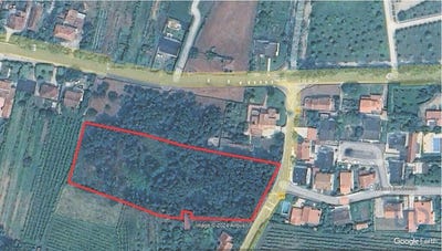 /international/pt/viana-do-castelo-viana-do-castelo-310098806767/