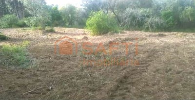 /international/pt/urqueira-santarem-310100490674/