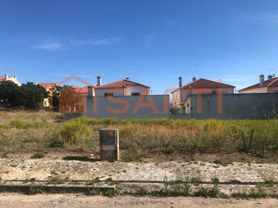 /international/pt/meia-via-santarem-310100492489/