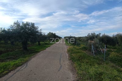 /international/pt/campo-maior-portalegre-310097673908/