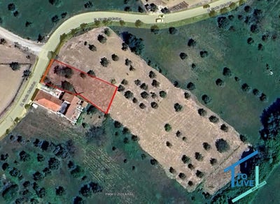 /international/pt/tomar-santarem-310103584954/