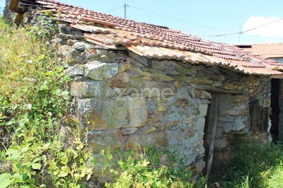 /international/pt/castelo-de-paiva-aveiro-310100013958/