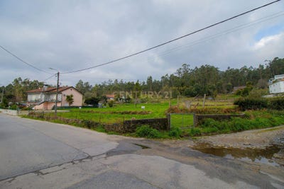 /international/pt/rua-de-sao-tiago-de-regoufe-985-alheira-e-igreja-nova-portugal-alheira-e-igreja-nova-braga-310106041739/