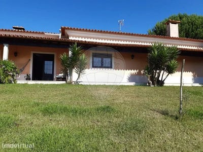 /international/pt/aguada-de-cima-aveiro-310095621724/