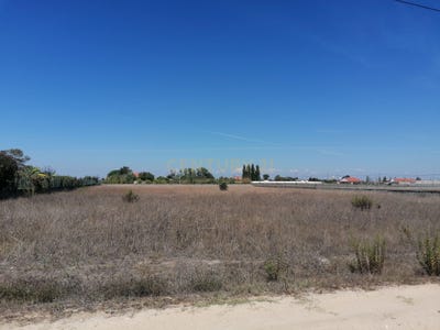 /international/pt/herdade-do-bilrete-salvaterra-de-magos-santarem-310104461174/