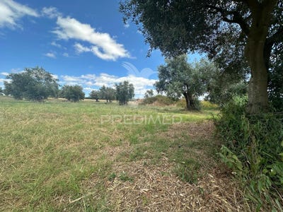 /international/pt/alcanhoes-santarem-santarem-310101106573/?lang=zh-tw