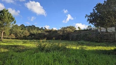 /international/pt/mafra-lisbon-310103809354/