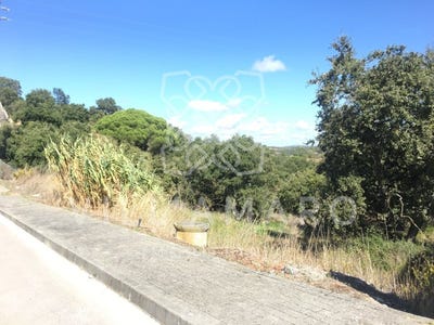 /international/pt/venda-do-pinheiro-e-santo-estevao-das-gales-lisbon-310099589736/