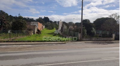 /international/pt/carregueira-chamusca-aveiro-310105910511/