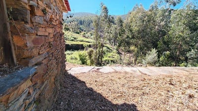 /international/pt/castelo-branco-braganca-310103806174/