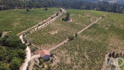 /international/pt/viseu-viseu-310109015987/