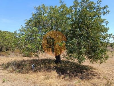 /international/pt/foz-de-odeleite-castro-marim-faro-120086463501/