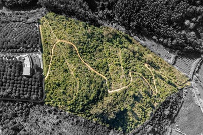 /international/pt/santo-isidoro-lisbon-310106244388/