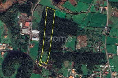 /international/pt/lagoa-sao-miguel-azores-120088439415/