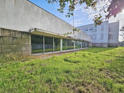 /international/pt/arvore-porto-310109124078/?lang=it