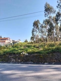 /international/pt/requeixo-braga-310098444135/