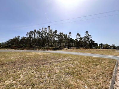 /international/pt/n115-1-2510-761-gaeiras-portugal-gaeiras-leiria-310108306633/