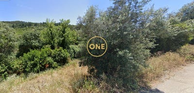 /international/pt/loures-lisbon-310108159598/