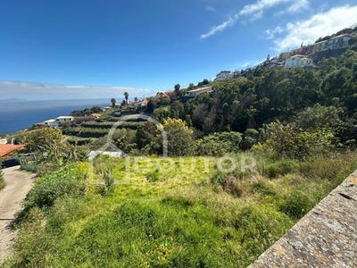 /international/pt/gaula-madeira-310107522718/
