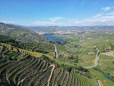 /international/pt/lamego-viseu-310100665457/