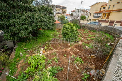/international/pt/cascais-lisbon-310105650068/