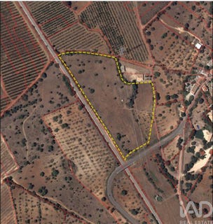 /international/pt/faro-faro-310103007314/