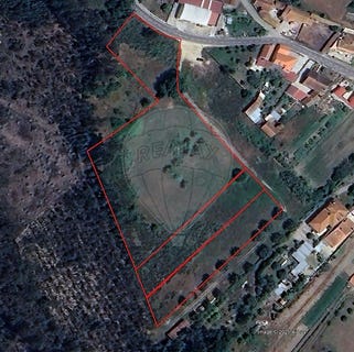 /international/pt/carapinheira-coimbra-310098969926/