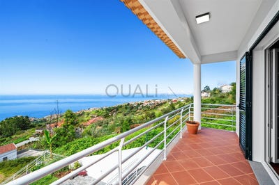 /international/pt/canhas-madeira-310109112511/