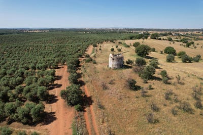 /international/pt/evora-evora-310101842378/