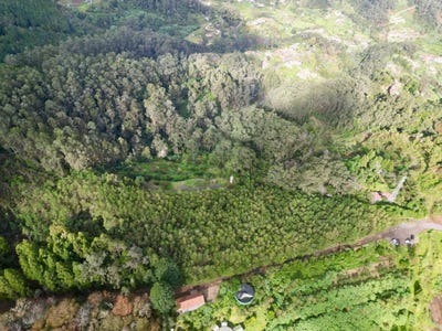 /international/pt/santo-antonio-da-serra-madeira-310104961051/