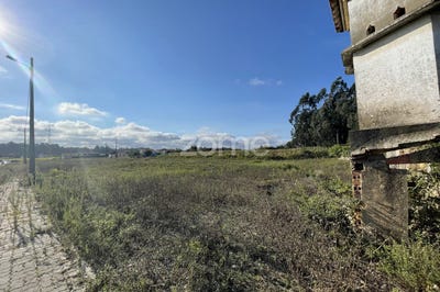 /international/pt/estarreja-aveiro-120080489130/?lang=zh-tw