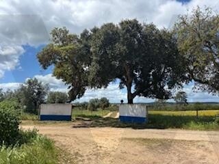 /international/pt/ermidas-sado-setubal-municipality-310100039901/