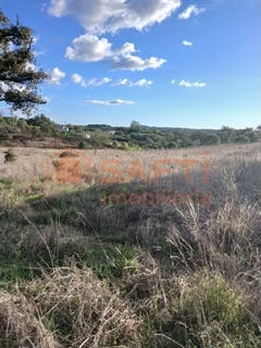 /international/pt/melides-setubal-municipality-310100491371/