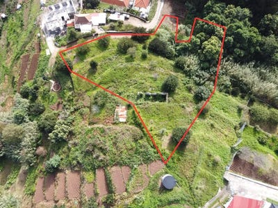 /international/pt/ribeiro-do-louro-ilha-da-madeira-madeira-310101597892/