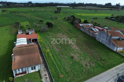 /international/pt/vagos-aveiro-310105400670/