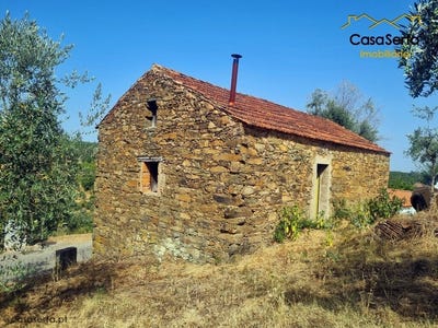 /international/pt/sobreira-formosa-e-alvito-da-beira-proenca-a-nova-castelo-branco-310106426216/