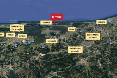 /international/pt/murtosa-aveiro-120060810183/