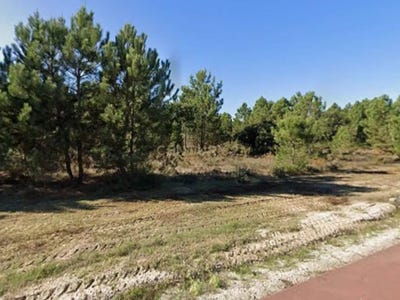 /international/pt/pinhal-dos-mouros-foros-de-salvaterra-s-n-salvaterra-de-magos-santarem-310108808174/