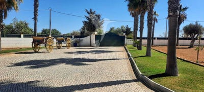 /international/pt/guia-albufeira-faro-310102338840/