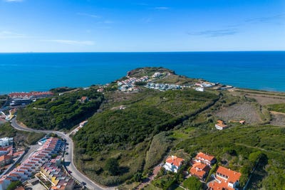 /international/pt/sao-martinho-do-porto-leiria-310103195390/