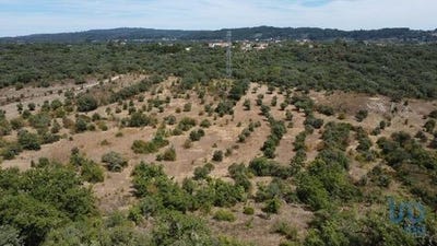 /international/pt/ferreira-do-zezere-santarem-120094444757/