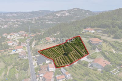 /international/pt/cinfaes-viseu-310108832518/