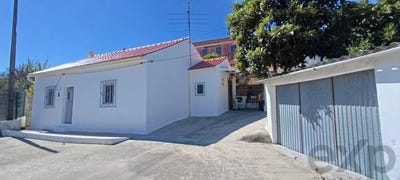/international/pt/mata-da-rainha-castelo-branco-310106826252/