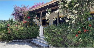 /international/pt/monchique-faro-310103997658/