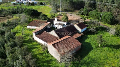 /international/pt/rua-da-associao-40-coto-caldas-da-rainha-nossa-senhora-do-populo-coto-e-sao-gregorio-portugal-caldas-da-rainha-nossa-senhora-do-populo-leiria-310104617953/