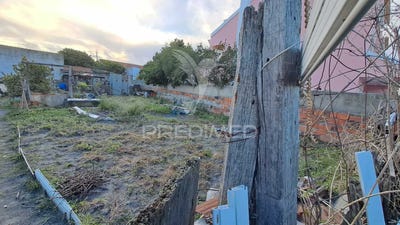 /international/pt/alhos-vedros-moita-setubal-municipality-120090927125/
