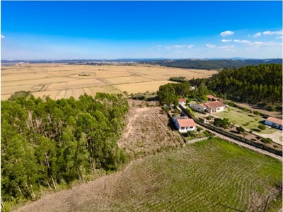 /international/pt/paiao-coimbra-310103636932/