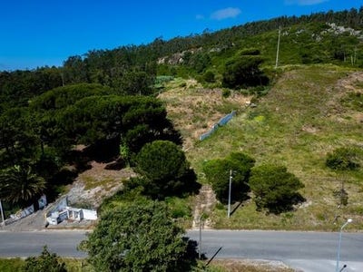 /international/pt/nazare-leiria-310108927706/?lang=pt