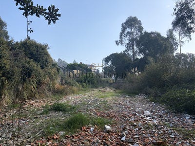 /international/pt/vila-nova-de-gaia-porto-310108591976/