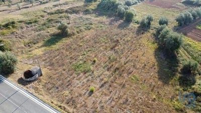 /international/pt/ferreira-do-zezere-santarem-120093507166/